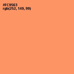 #FC9563 - Atomic Tangerine Color Image