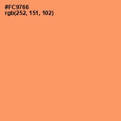 #FC9766 - Atomic Tangerine Color Image