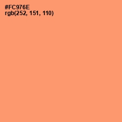 #FC976E - Atomic Tangerine Color Image