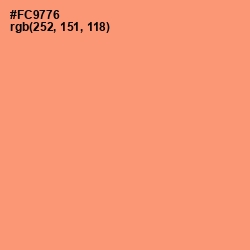 #FC9776 - Atomic Tangerine Color Image