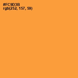 #FC9D3B - Neon Carrot Color Image