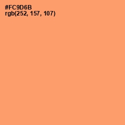 #FC9D6B - Atomic Tangerine Color Image