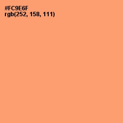 #FC9E6F - Atomic Tangerine Color Image