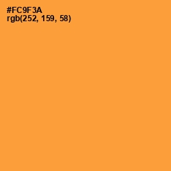 #FC9F3A - Neon Carrot Color Image