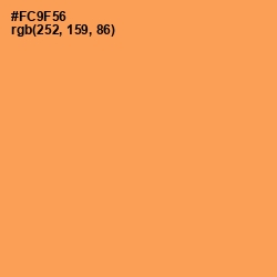 #FC9F56 - Tan Hide Color Image