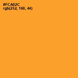 #FCA02C - Sea Buckthorn Color Image