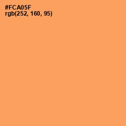 #FCA05F - Texas Rose Color Image