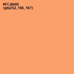 #FCA06B - Sandy brown Color Image