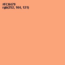 #FCA479 - Macaroni and Cheese Color Image