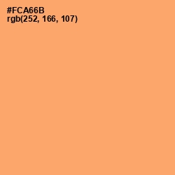 #FCA66B - Sandy brown Color Image