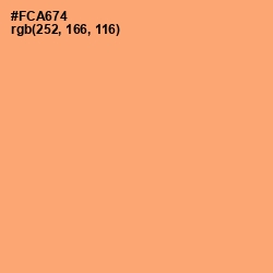 #FCA674 - Macaroni and Cheese Color Image