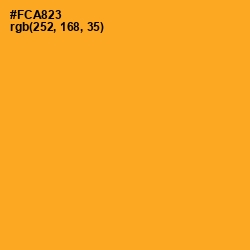 #FCA823 - Sea Buckthorn Color Image