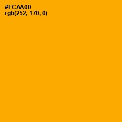 #FCAA00 - Yellow Sea Color Image