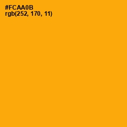 #FCAA0B - Yellow Sea Color Image