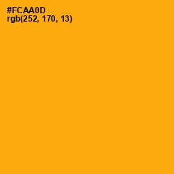 #FCAA0D - Yellow Sea Color Image