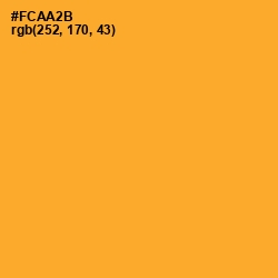#FCAA2B - Sea Buckthorn Color Image