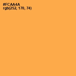 #FCAA4A - Yellow Orange Color Image