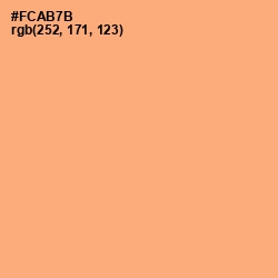 #FCAB7B - Macaroni and Cheese Color Image