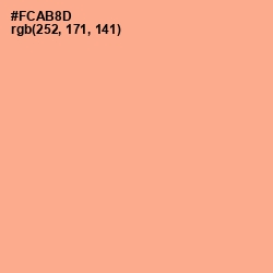 #FCAB8D - Hit Pink Color Image