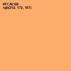 #FCAC6B - Sandy brown Color Image