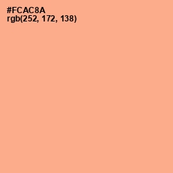 #FCAC8A - Hit Pink Color Image