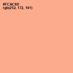 #FCAC8D - Hit Pink Color Image