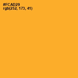 #FCAD29 - Sea Buckthorn Color Image