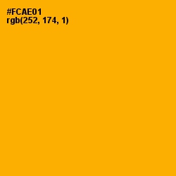 #FCAE01 - Yellow Sea Color Image