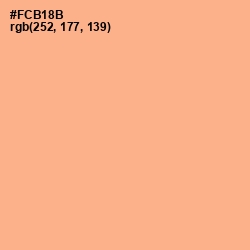 #FCB18B - Hit Pink Color Image