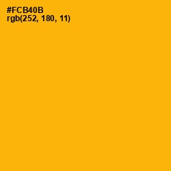 #FCB40B - Selective Yellow Color Image