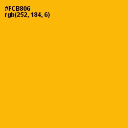 #FCB806 - Selective Yellow Color Image