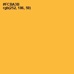 #FCBA3B - Tulip Tree Color Image