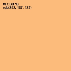 #FCBB7B - Macaroni and Cheese Color Image