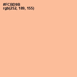 #FCBD9B - Gold Sand Color Image