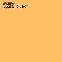 #FCBF64 - Rajah Color Image