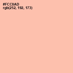 #FCC0AD - Wax Flower Color Image