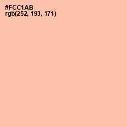 #FCC1AB - Wax Flower Color Image