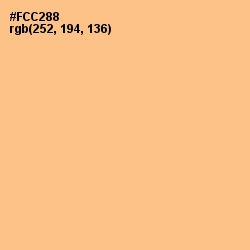 #FCC288 - Chardonnay Color Image