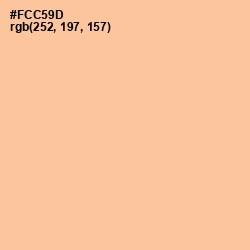 #FCC59D - Peach Orange Color Image
