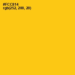 #FCC814 - Lightning Yellow Color Image