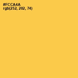 #FCCA4A - Ronchi Color Image