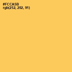 #FCCA5B - Golden Tainoi Color Image