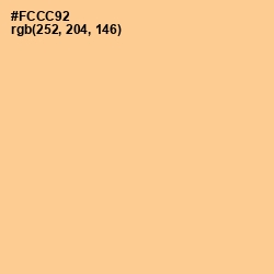 #FCCC92 - Peach Orange Color Image