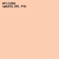 #FCCDB0 - Apricot Peach Color Image