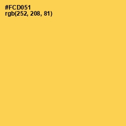 #FCD051 - Mustard Color Image