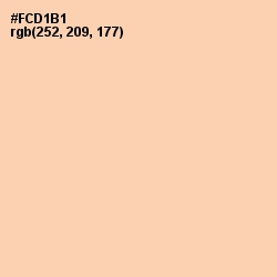 #FCD1B1 - Light Apricot Color Image