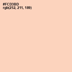 #FCD3BD - Romantic Color Image