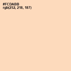 #FCDABB - Romantic Color Image