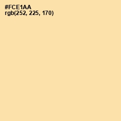 #FCE1AA - Cape Honey Color Image