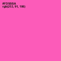 #FD5BBA - Brilliant Rose Color Image